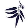The Wellspring - Warburton