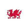Welsh Gifts
