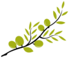 Wendland Fine Foods