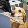 Western Flooring Ltd