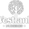 Westland Nurseries