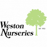 Weston Nurseries of Chelmsford