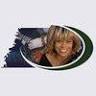 West Tennessee Delta Heritage Center / Tina Turner Museum