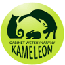 Veterinarian, Private Practice. Kameleon