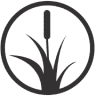 Wetland Studies and Solutions, Inc. (WSSI)