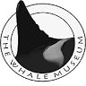 The Whale Museum