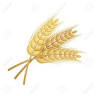 Wheatland Township Assessor