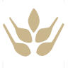 Wheatland Insurance Center, Inc.