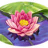 Whispering Lotus Healing Center