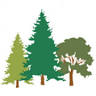 Whispering Woods Golf Club