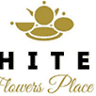Kwiaciarnia White8 & Flowers Place
