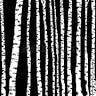 White Birch Insurance