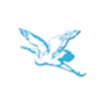 WHITECRANE AQUATIC PLANTS CO.,LTD