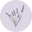White Oak Lavender Farm & The Purple WOLF Vineyard