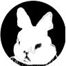 The White Rabbit #1