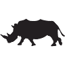 White Rhino Bar & Grill