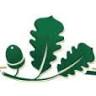 Whitney Oaks Insurance Services