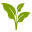 Whole Earth Center