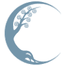 Wholeness Center