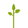 Biohof Widerna