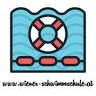 Die Wiener Schwimmschule
