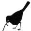 Wild Bird & Nature Store