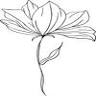 Wild Bunches Floral