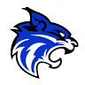 Wildcat Used Cars LLC