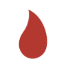 Wildfire Network
