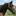 Wildfire Ranch Spiritual Retreat