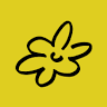 Wildflower