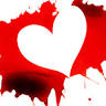 Wild Heart Café