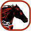 Wild Horse Powersports