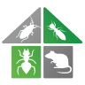 The Star Wildlife Experts