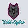 Wild Lights