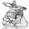 The Wild Rabbit Cafe