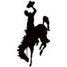 Wild West Auctions