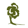 Wildwood Programs