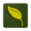 Willemsen Bloemen Apeldoorn BV