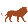Williamson Adventures. Tanzania Safari |Kilimanjaro Climbing and Zanzibar Beach Holiday | Great wildebeest migration
