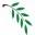 Willowbranch Financial Group