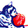 Willowdale Veterinary Center