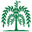 Willow Insurance Group