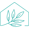 Willow Properties
