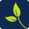 Willow Tree Cottages