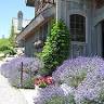 Willow Winery & Vineyard