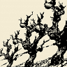 The Wine Mine