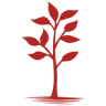 Wiseman Financial Services