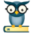 Wise Owl Accountants