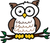 Wise Owl Preschool